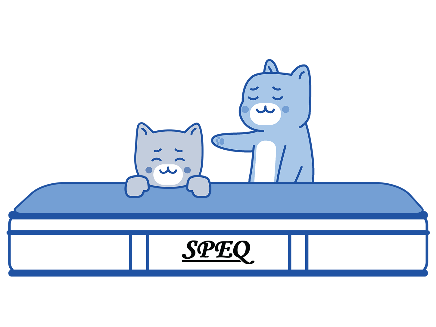 Video Review SPEQ